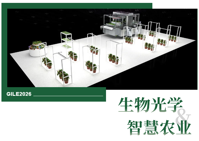 GILE 2026 | 策展革命，明年这里不卖灯，只“种”场景